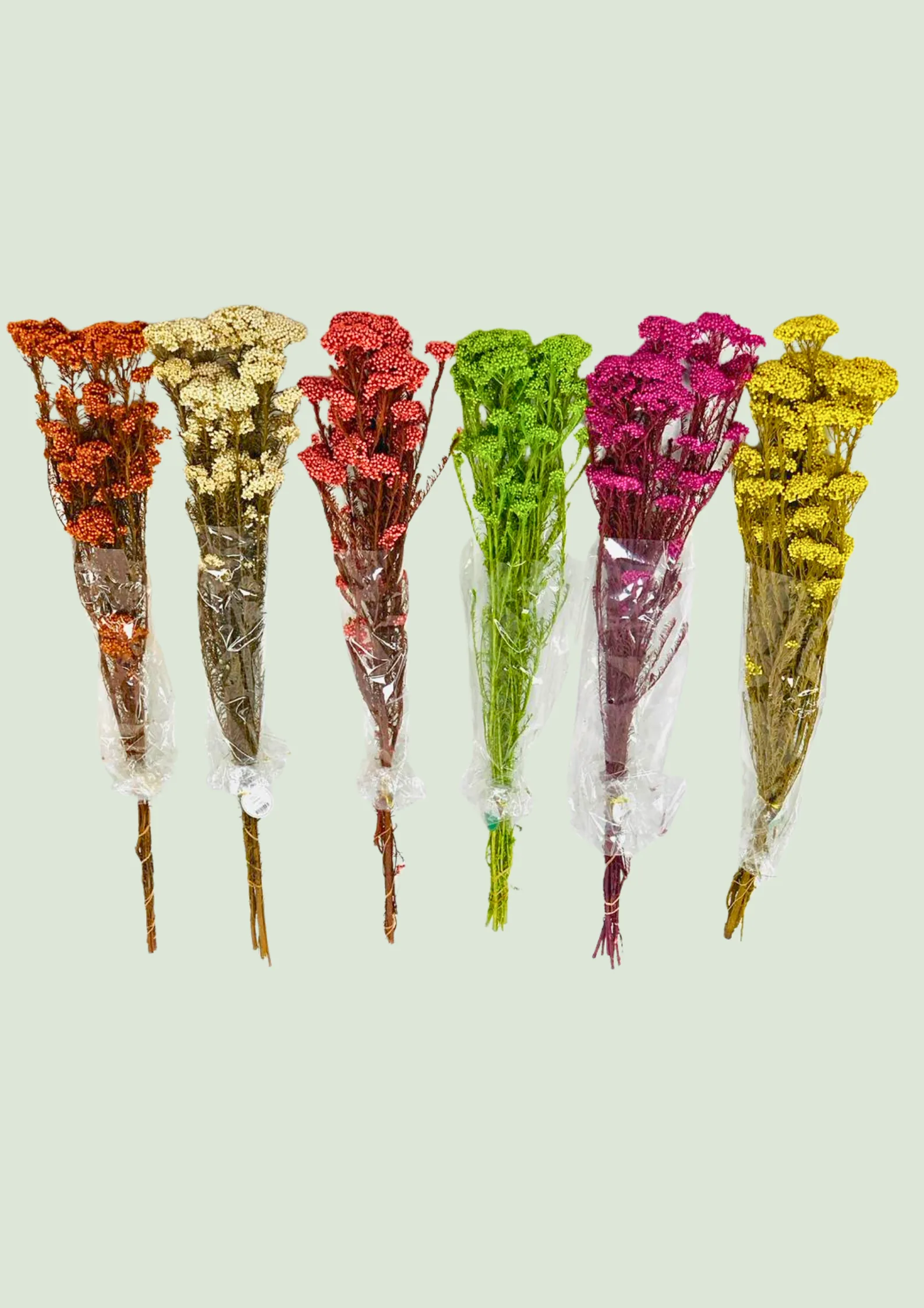 Dried Flower Bunches Assorted Colors
