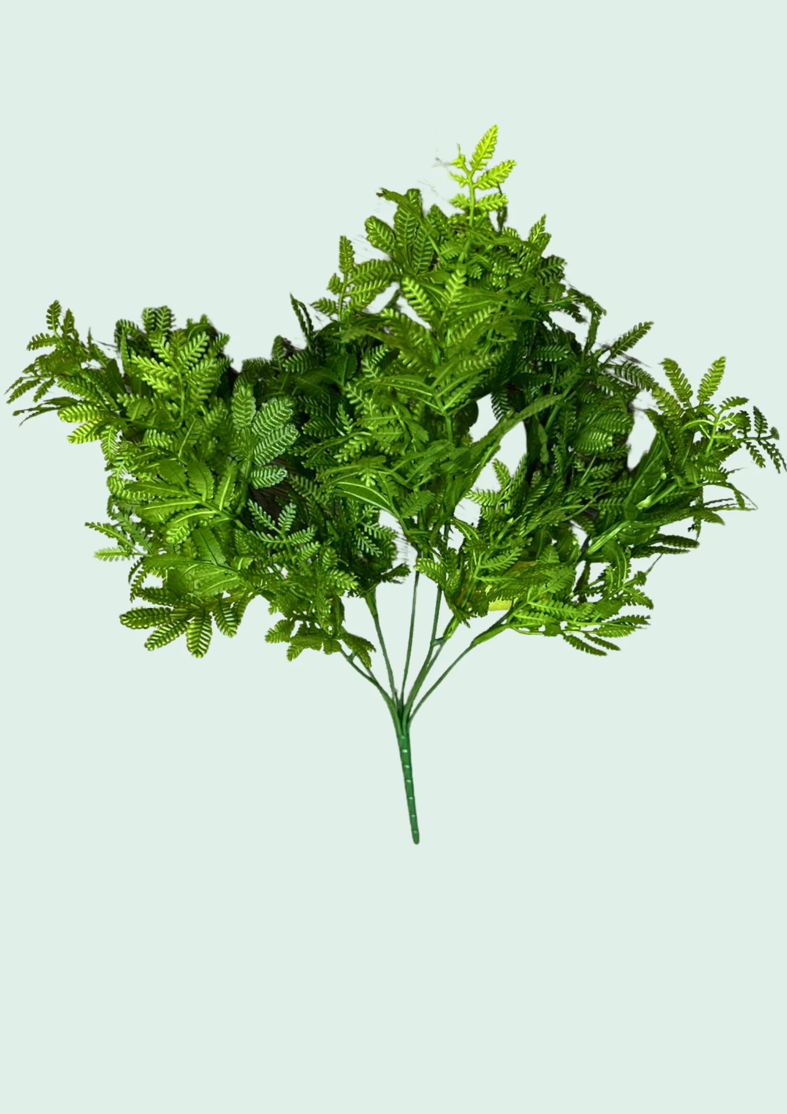 Green Fern Spray