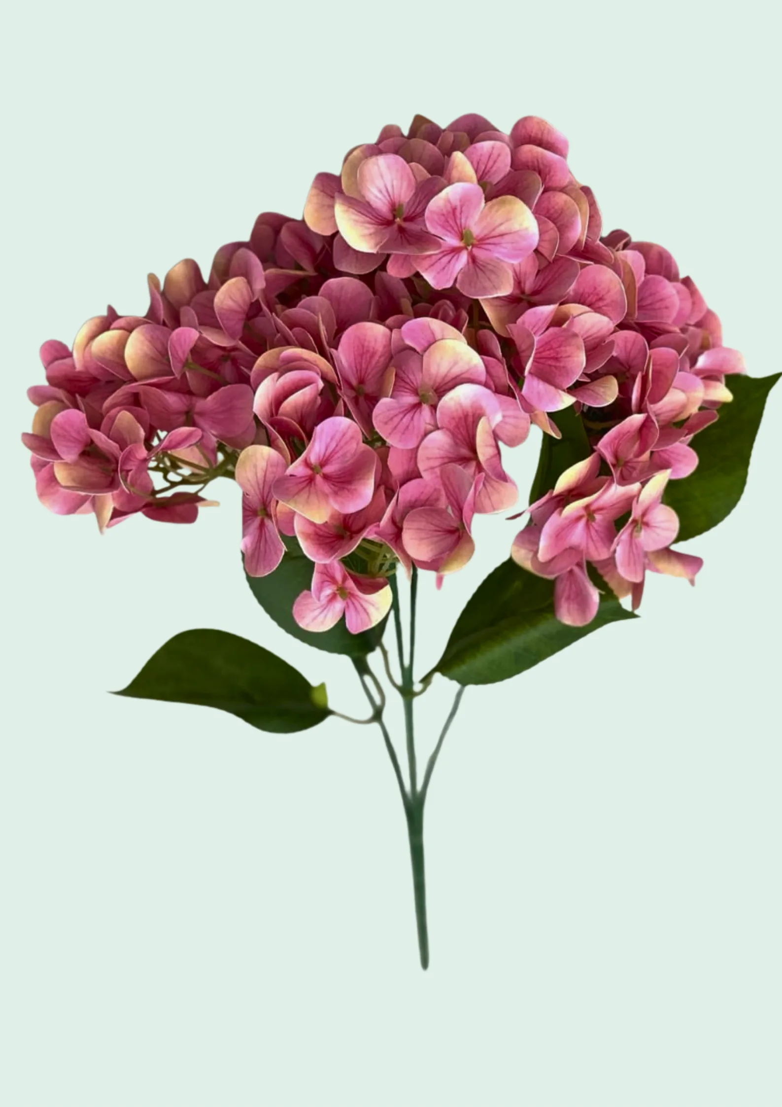 Hydrangea Spray Mauve
