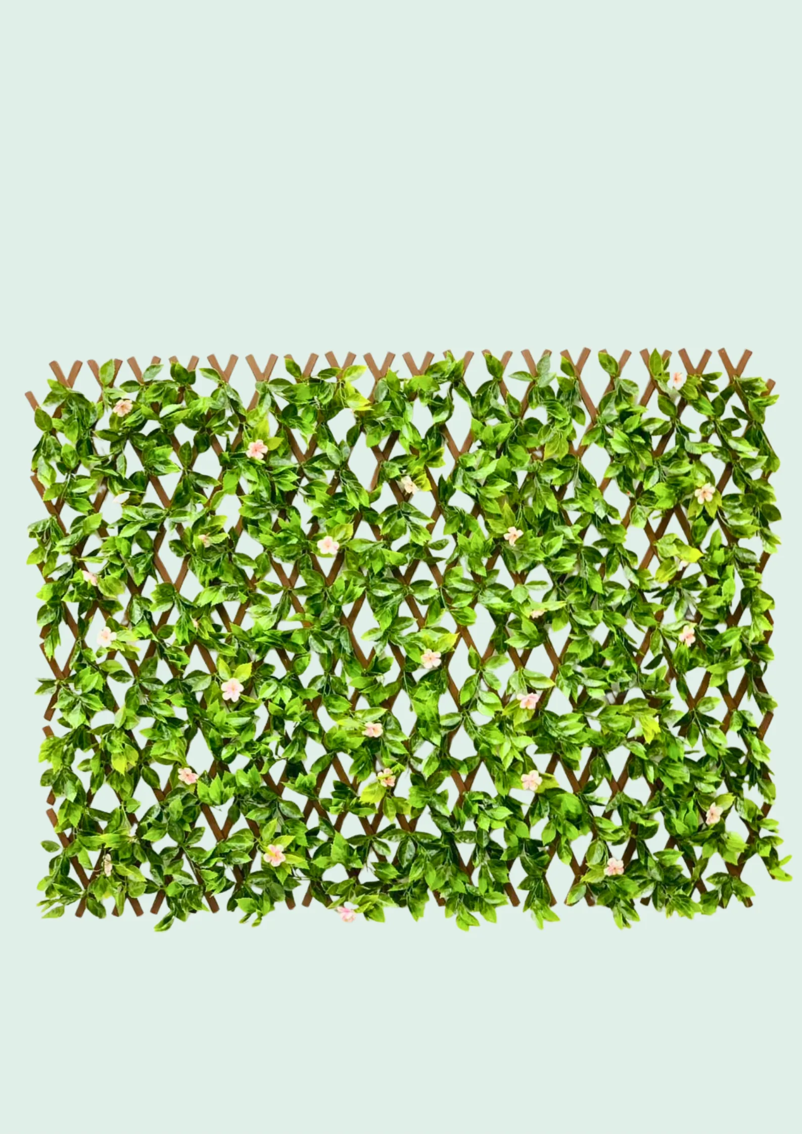 Expanding Trellis Flowering