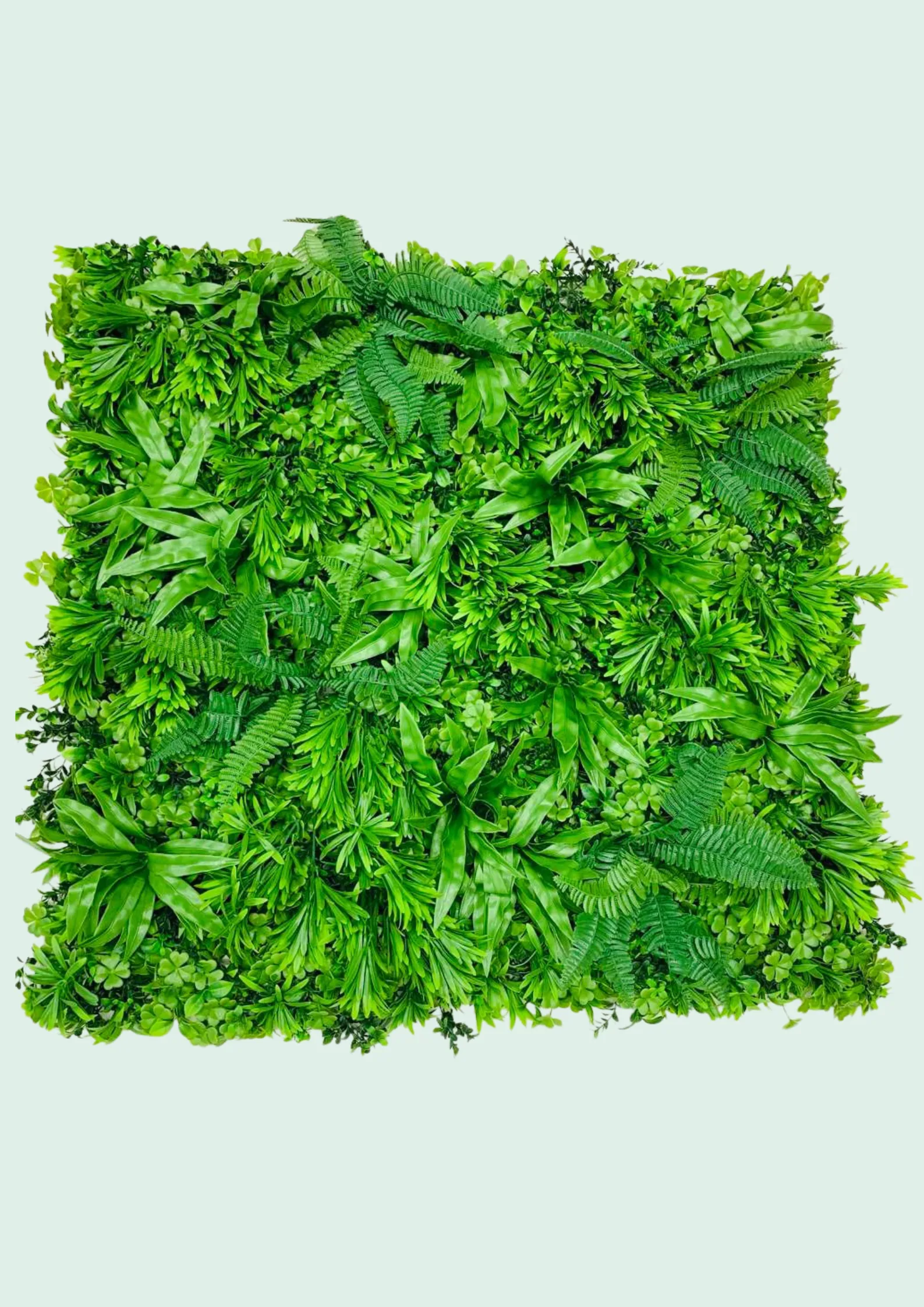 Green Wall Panel, Fern Mix
