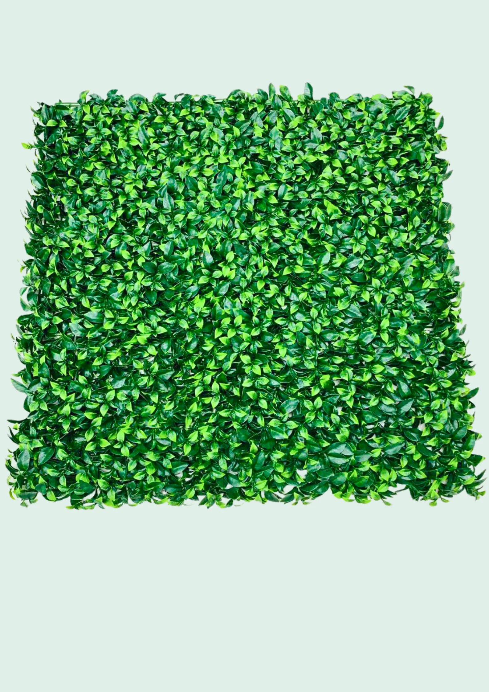 Green Wall Panel, Square