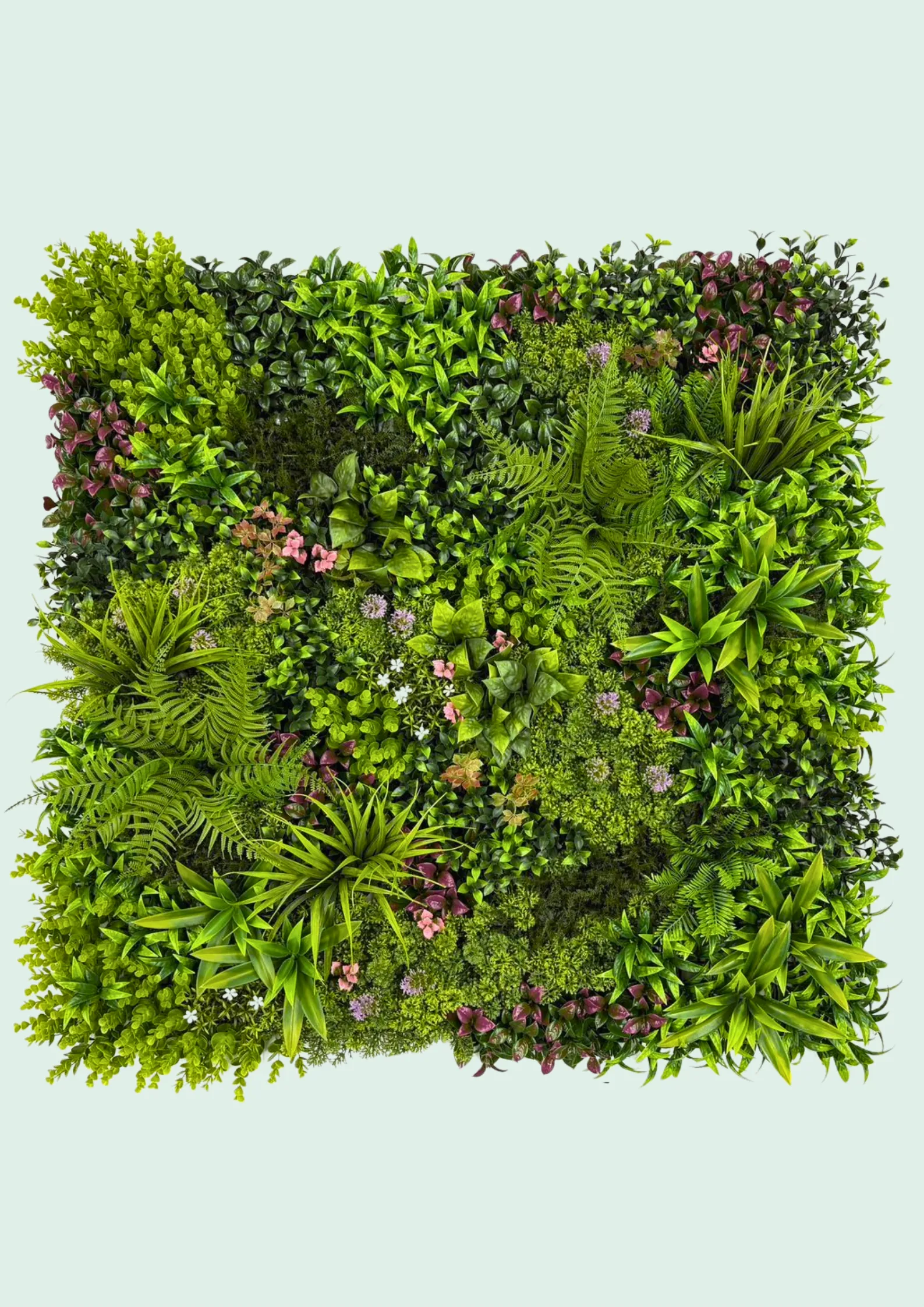 Green Walls & Grass Collection