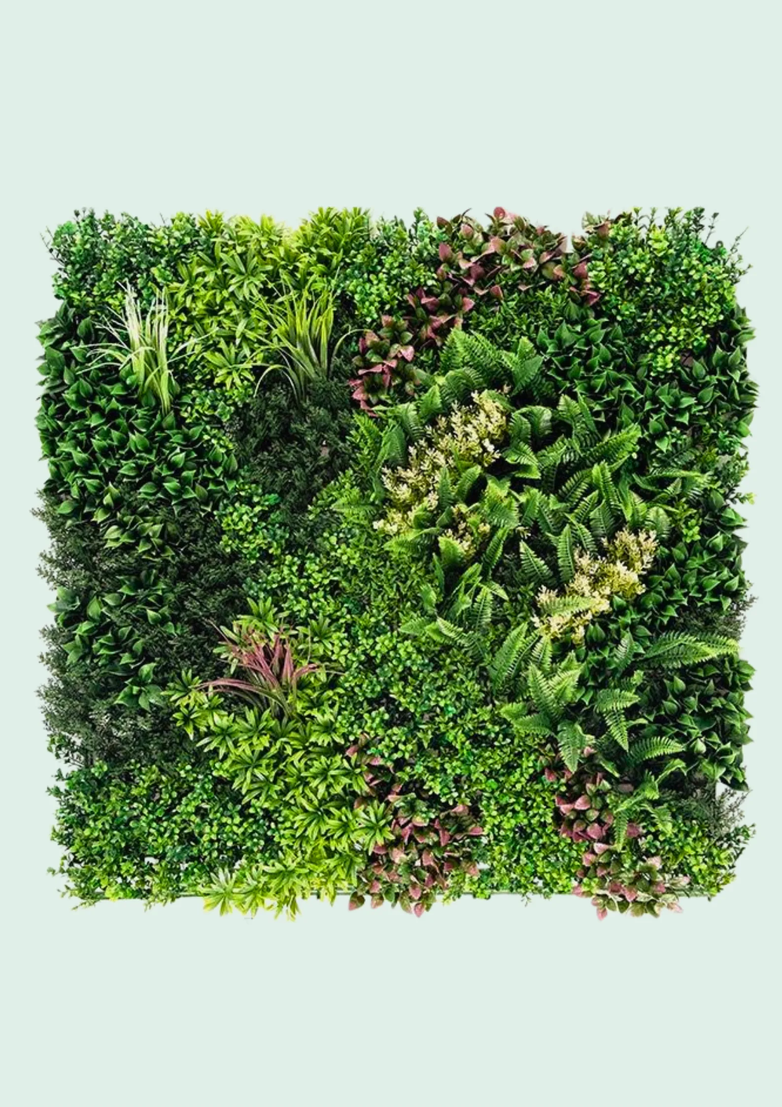 Green Wall Panel Tropical Mix 2