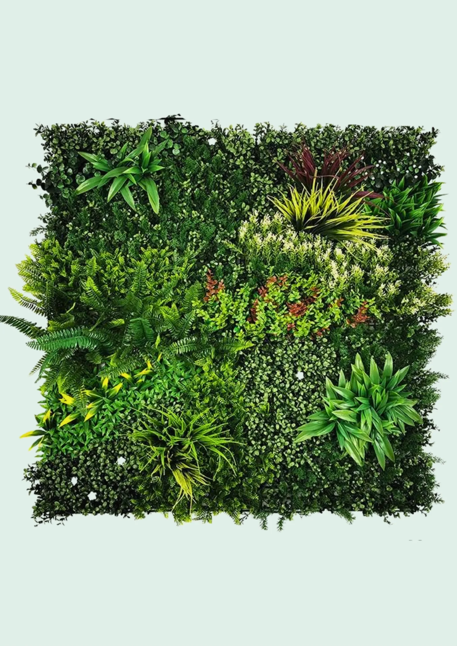 Green Wall Panel Tropical Mix 3