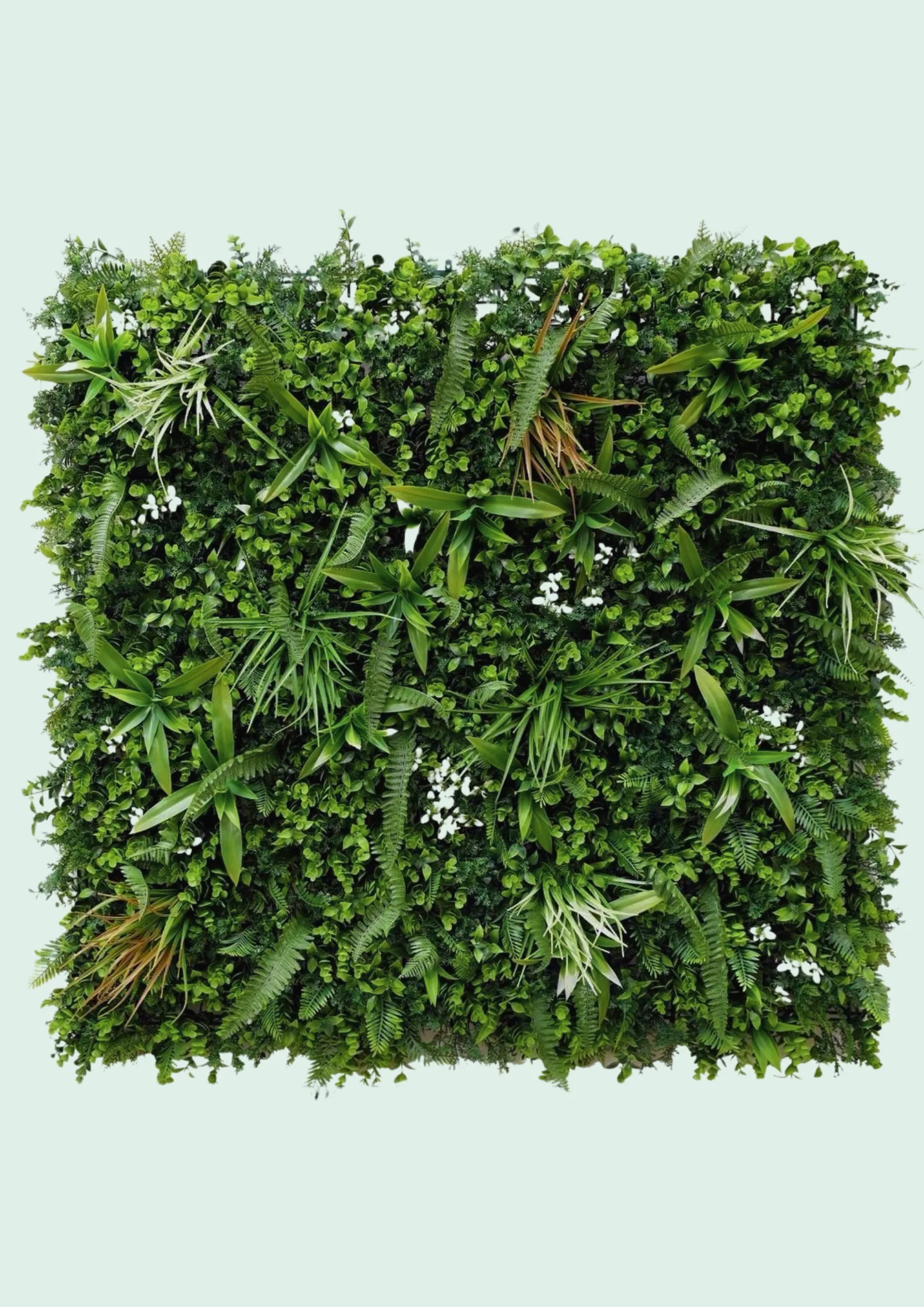 Standard green wall panel, fern and spider-plant mix