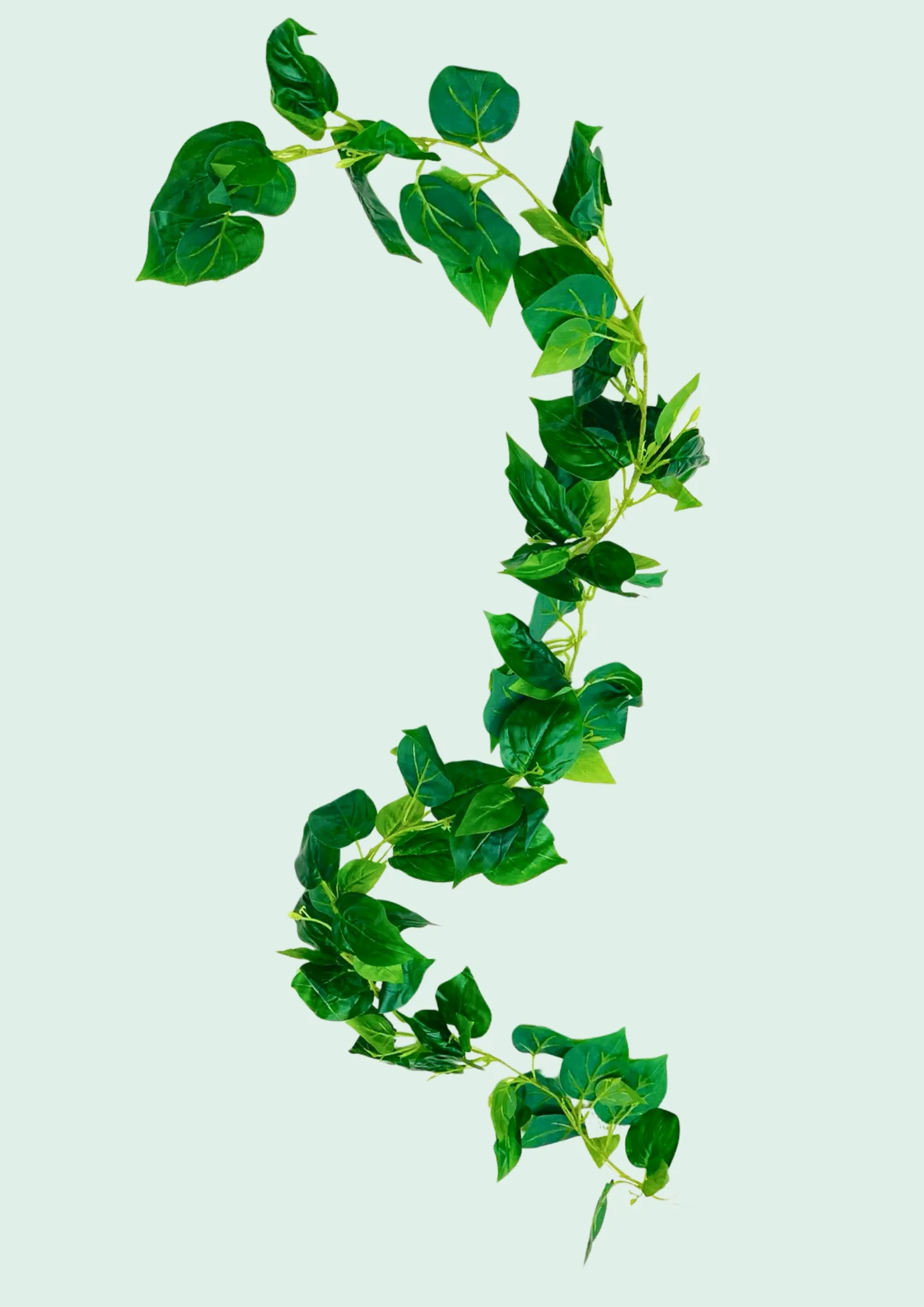 Pothos Vine Garland