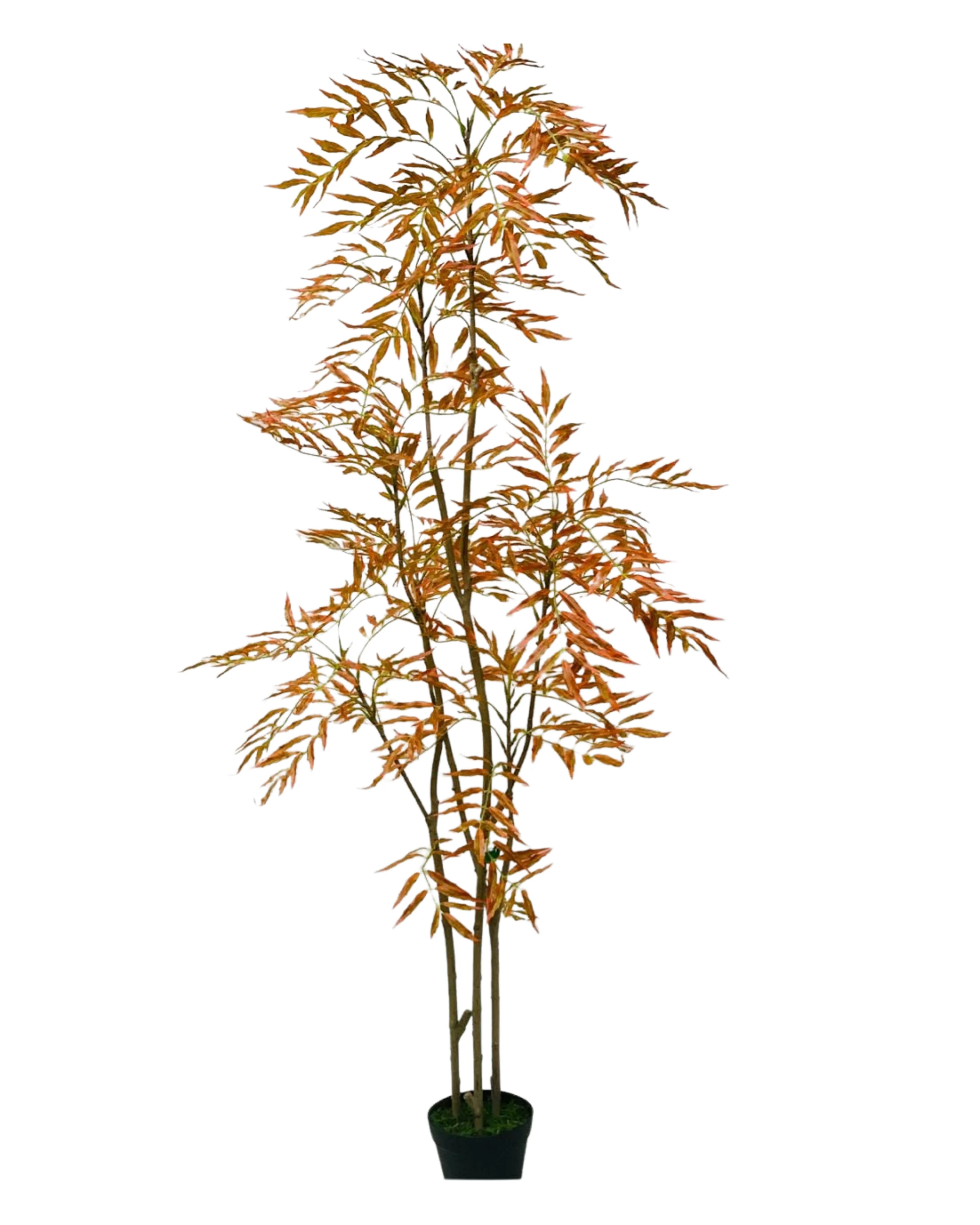 Willow Tree Autumn