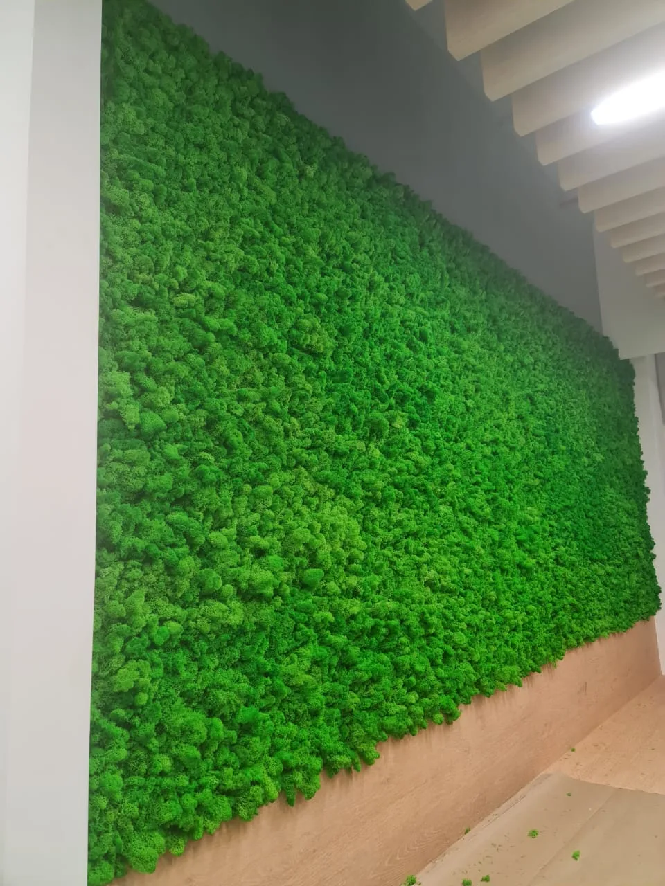 Real completed project: moss wall panel along an office corridor
