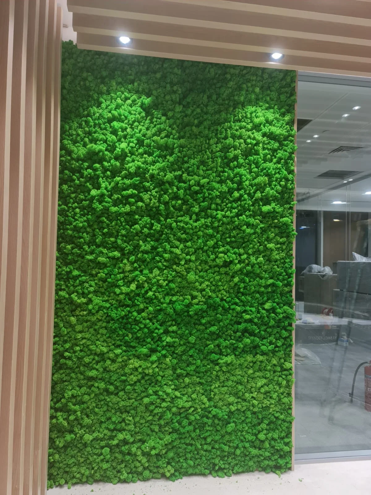 Real completed project: moss wall panel in a corporate reception