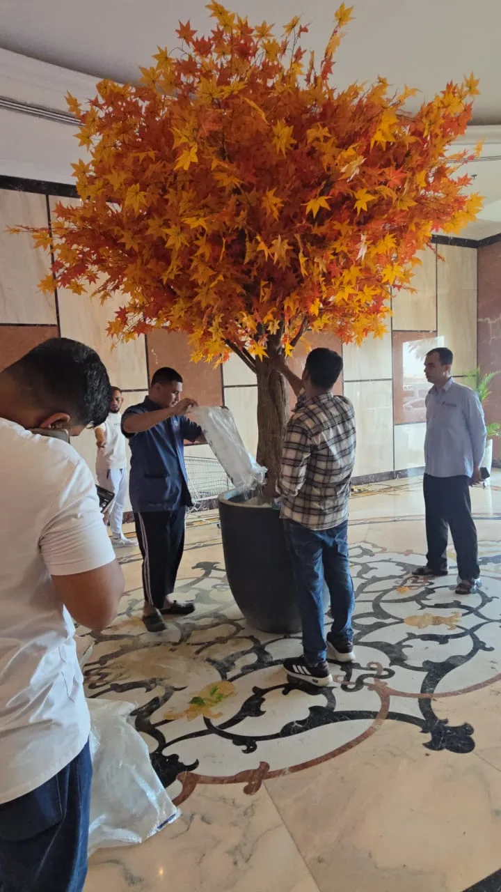 Real completed project: statement maple tree in a commercial lobby