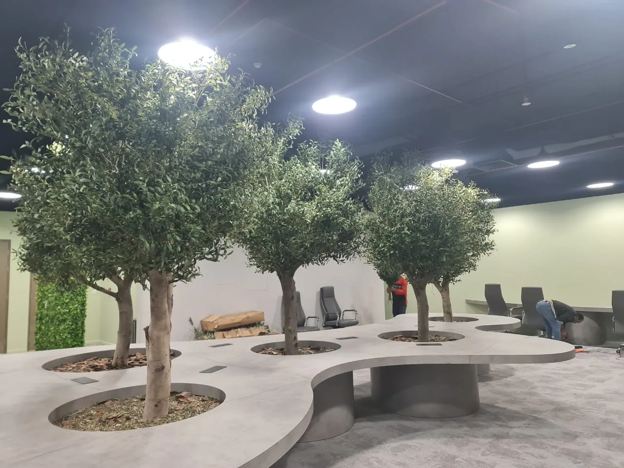Real completed project: artificial olive trees through a custom office desk platform