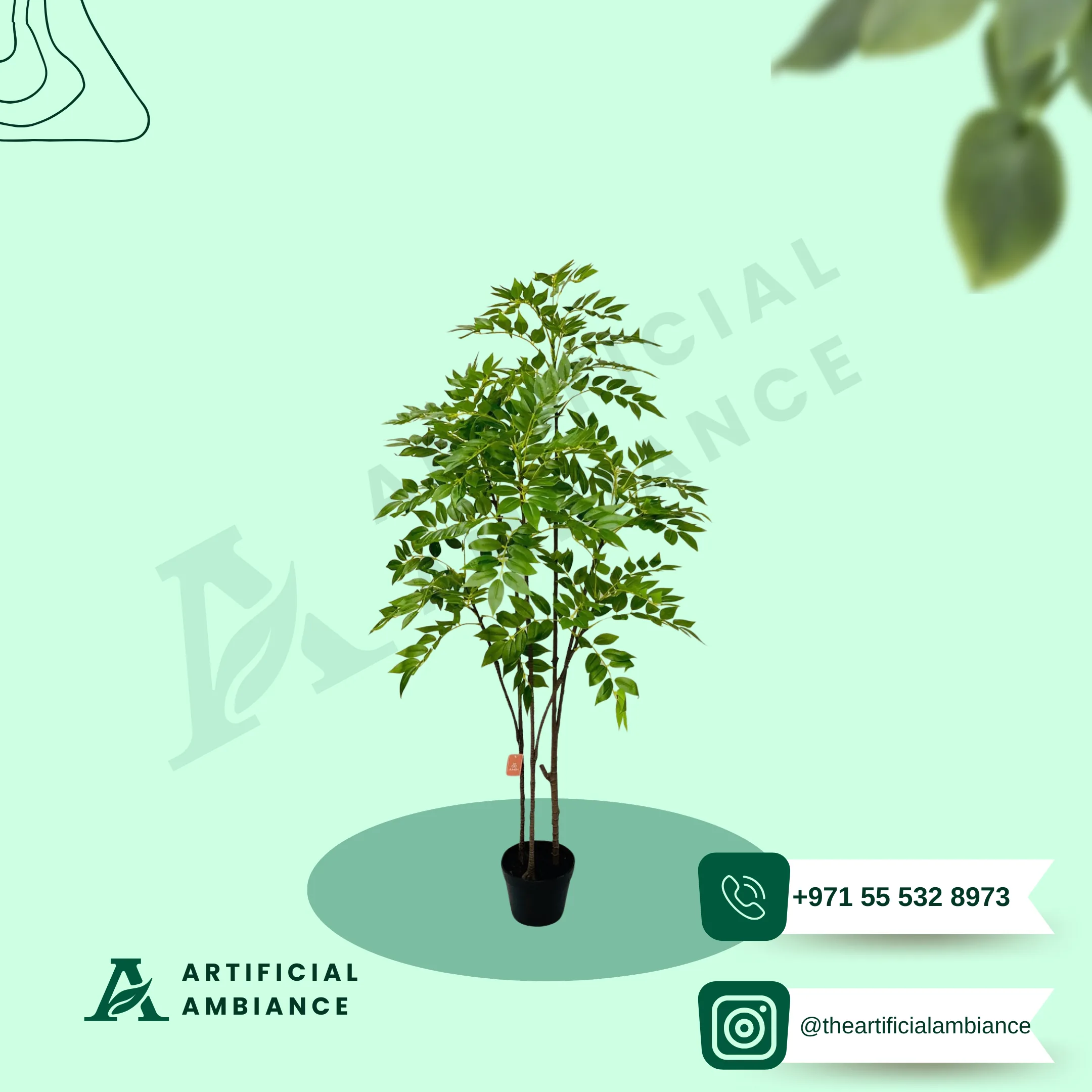Ficus Tree Real Touch