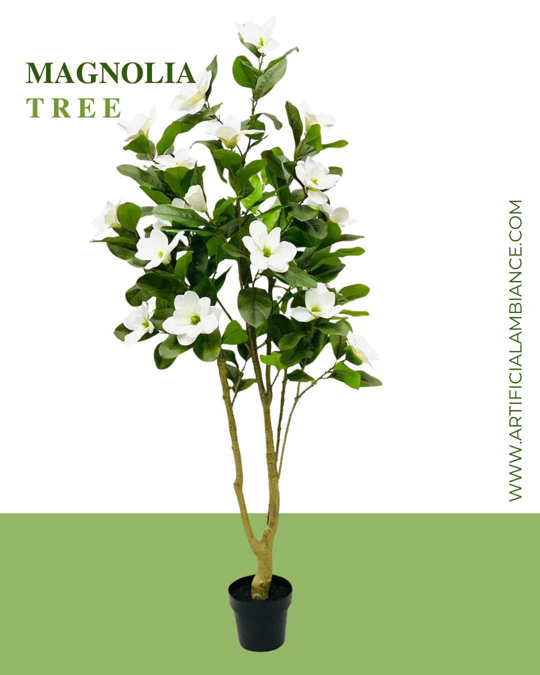 Magnolia Tree Card