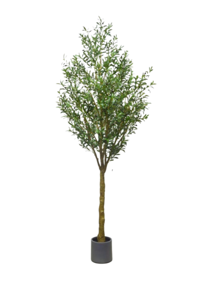 Faux Mediterranean Olive Tree