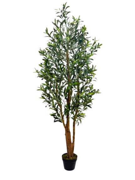 Faux Mediterranean Olive Plant