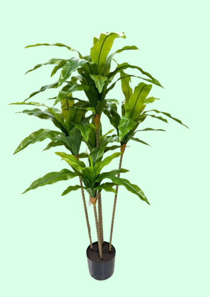 Artificial Dracaena Corn Plant