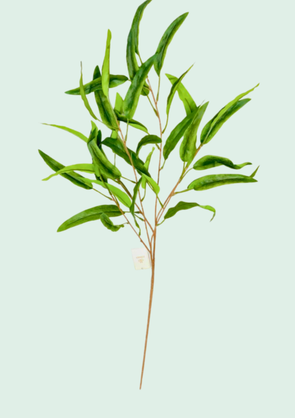 Willow Leaf Real Touch Stem