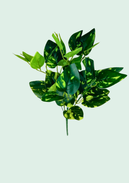 Golden Variegated Pothos Bush