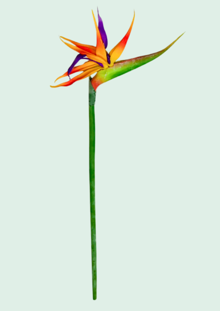 Real Touch Bird of Paradise Stem