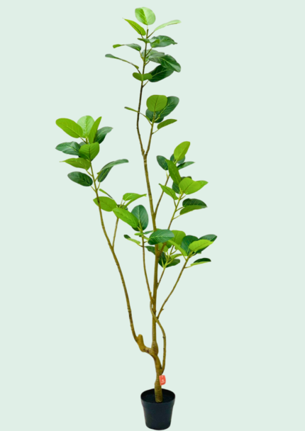 Real Touch Jackfruit Tree