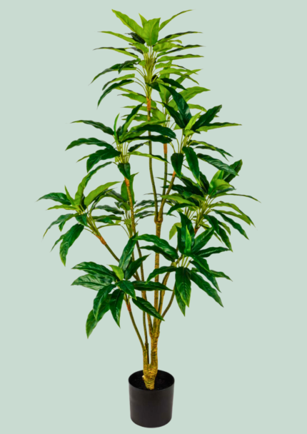 Tall Tropical Foliage Tree