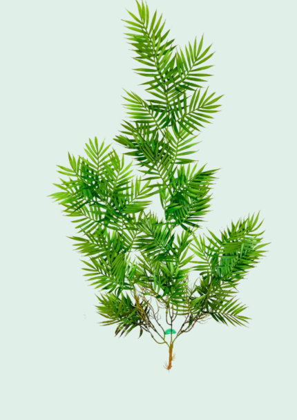 Hanging Bamboo Palm Vine