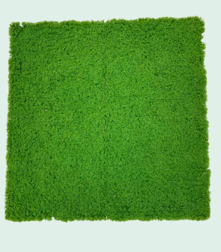 Standard Boxwood Panel