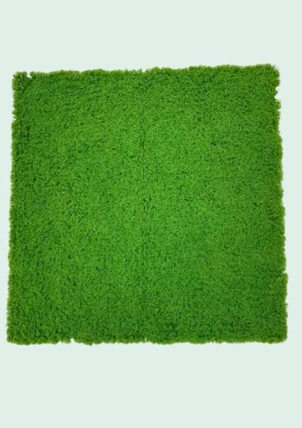 Standard Boxwood Panel