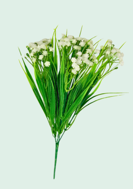 Gypsophila Bunch