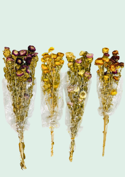 Dry Flower Sheaf