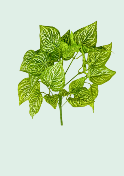 White Veined Pattern Leaf