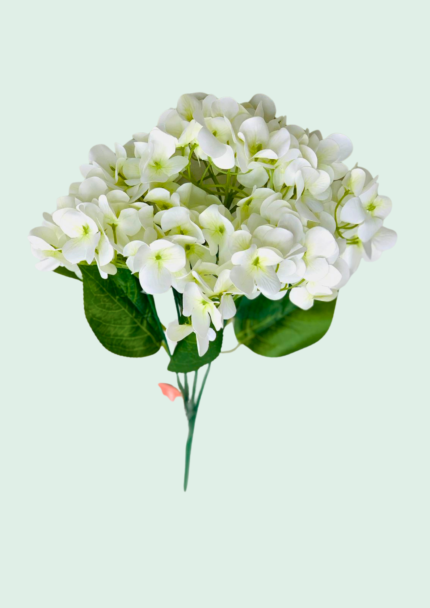 Hydrangea Bouquet
