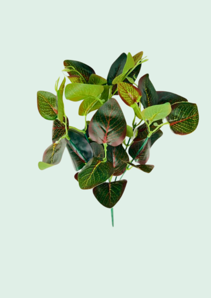 Crimson Vein Nerve Plant