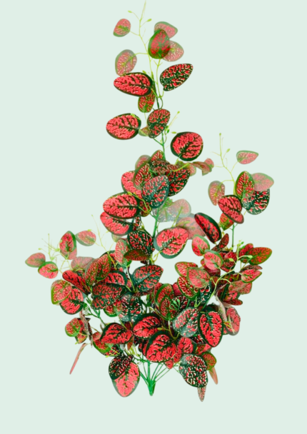 Red Speckled Nerve Vine,