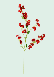 Dogwood Flower Branch