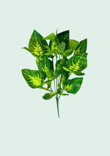 Mosaic Green Leaf Bush