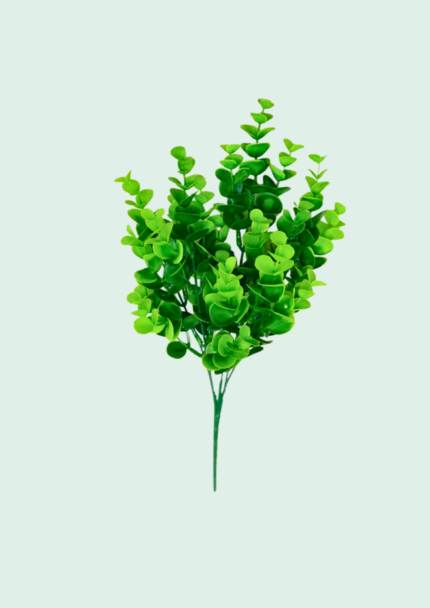 Petite Coin Leaf Bush