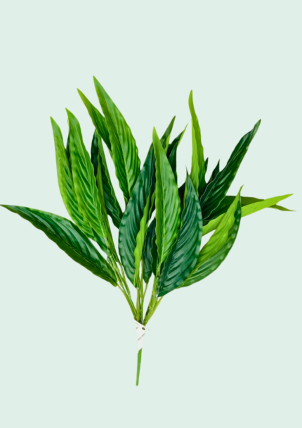 Tropical Sword Leaf Bush