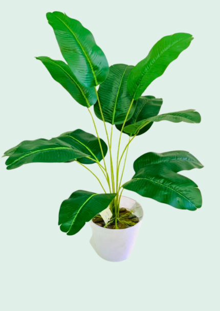 Faux Banana Plant