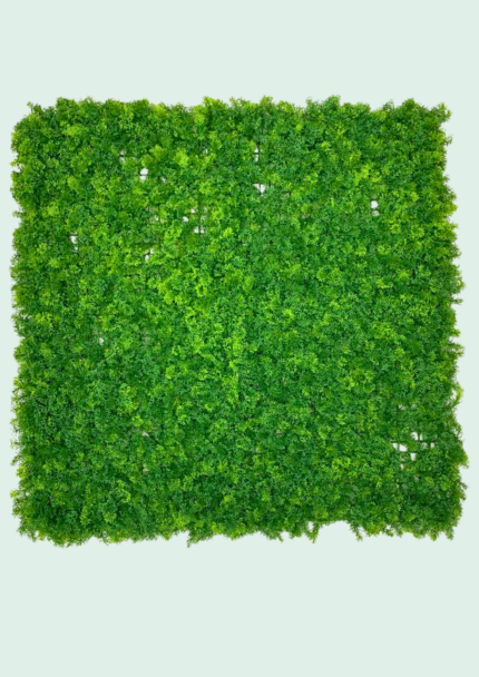 Dense Boxwood Hedge Panel