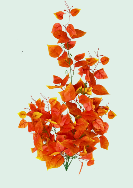 Flame Orange Hanging Vine