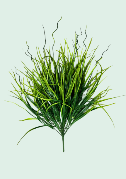 Onion Grass Bush