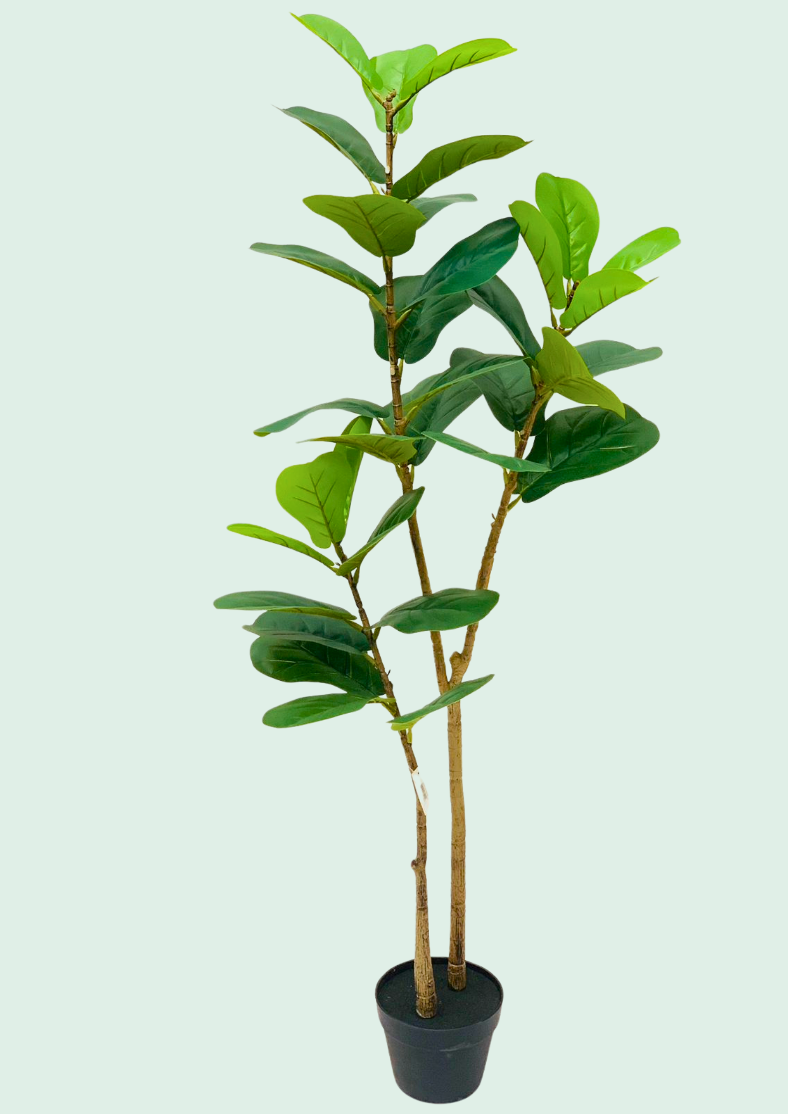 Real Touch Fiddle Leaf Fig