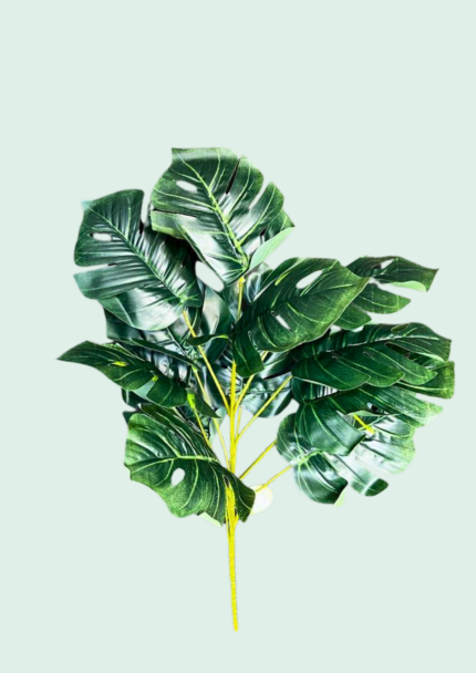 Monstera Leaf Bush