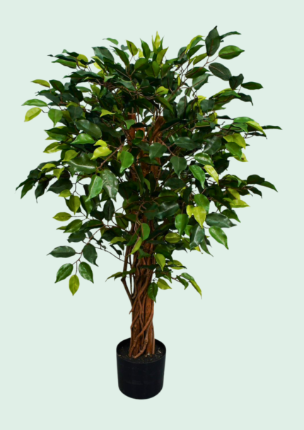 Twisted Trunk Faux Weeping Fig