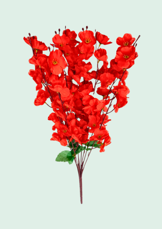 Red Cherry Blossom Bush