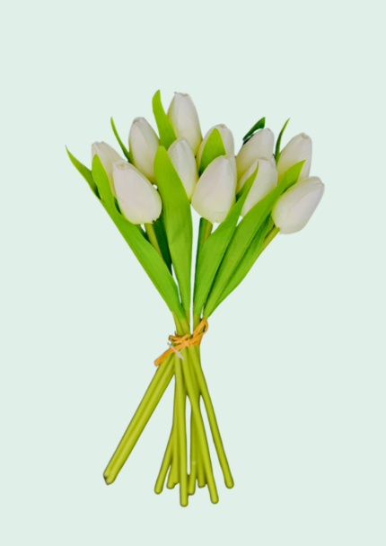 White Tulip Bundle