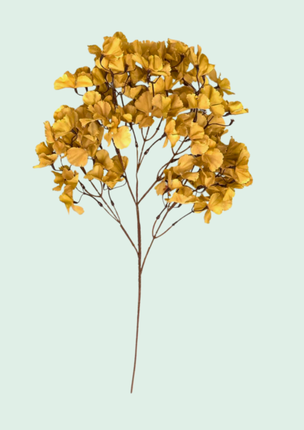 Autumn Gingko Branch