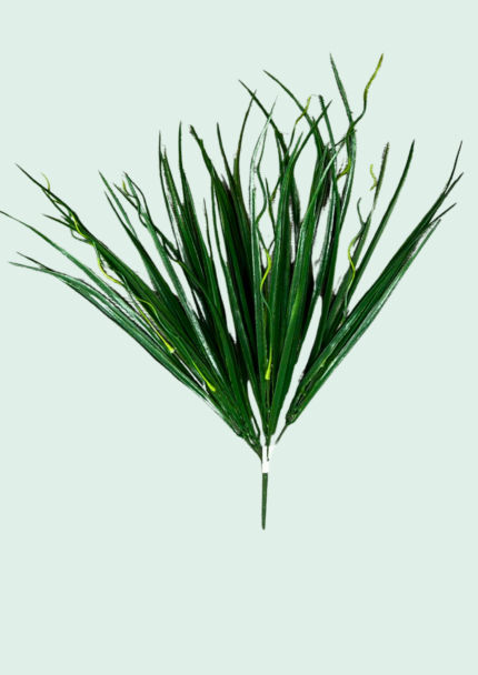 Long-Blade Grass Bunch